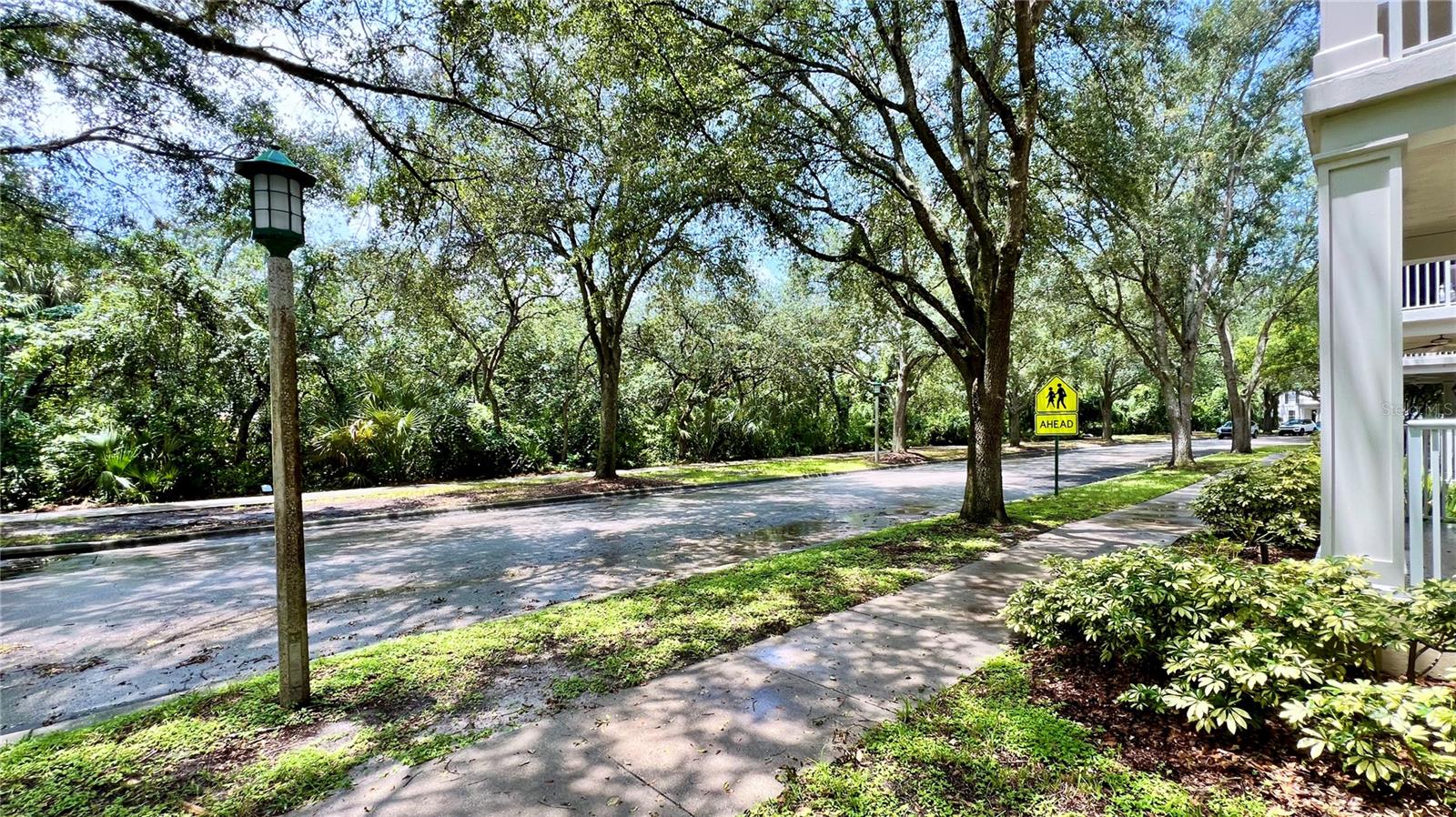 Image 3 of 41 For 921 Begonia Road 302