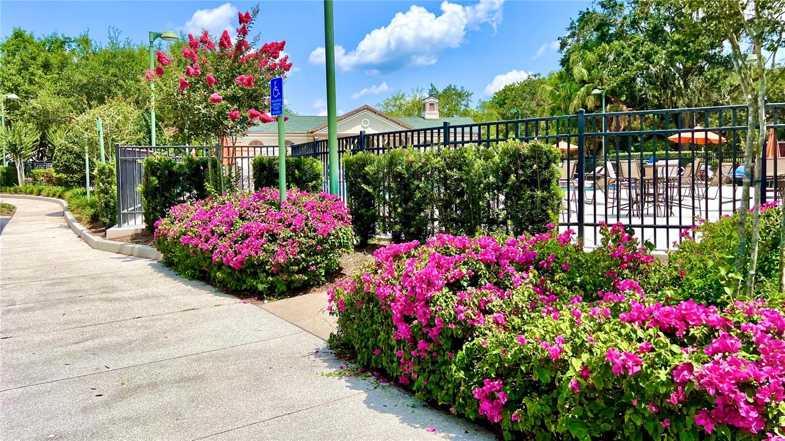 Image 36 of 41 For 921 Begonia Road 302