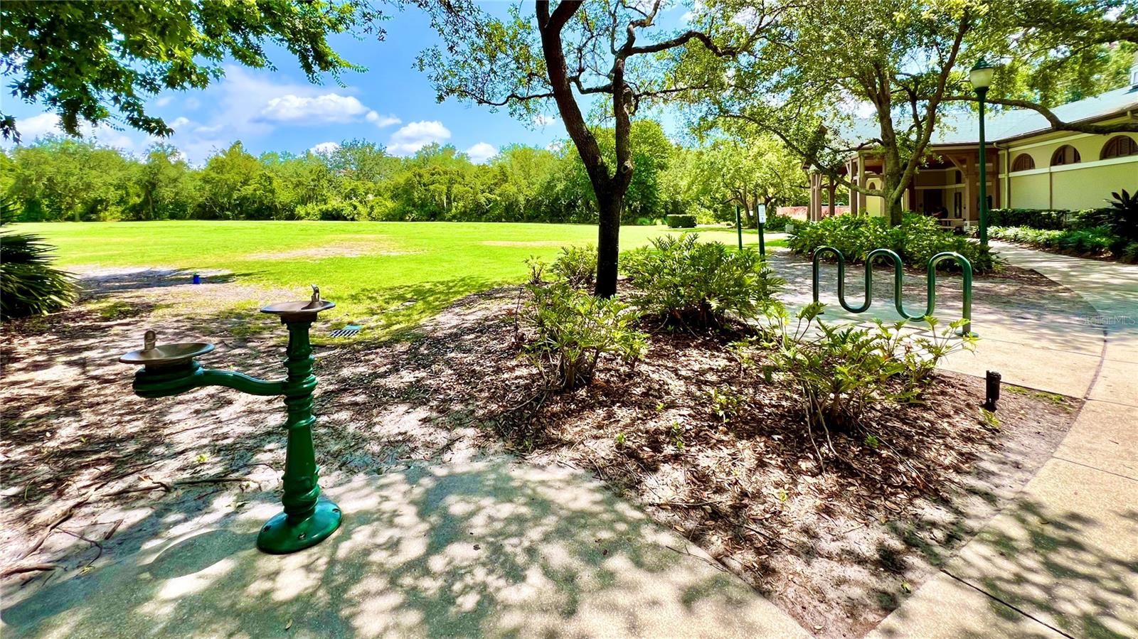Image 39 of 41 For 921 Begonia Road 302