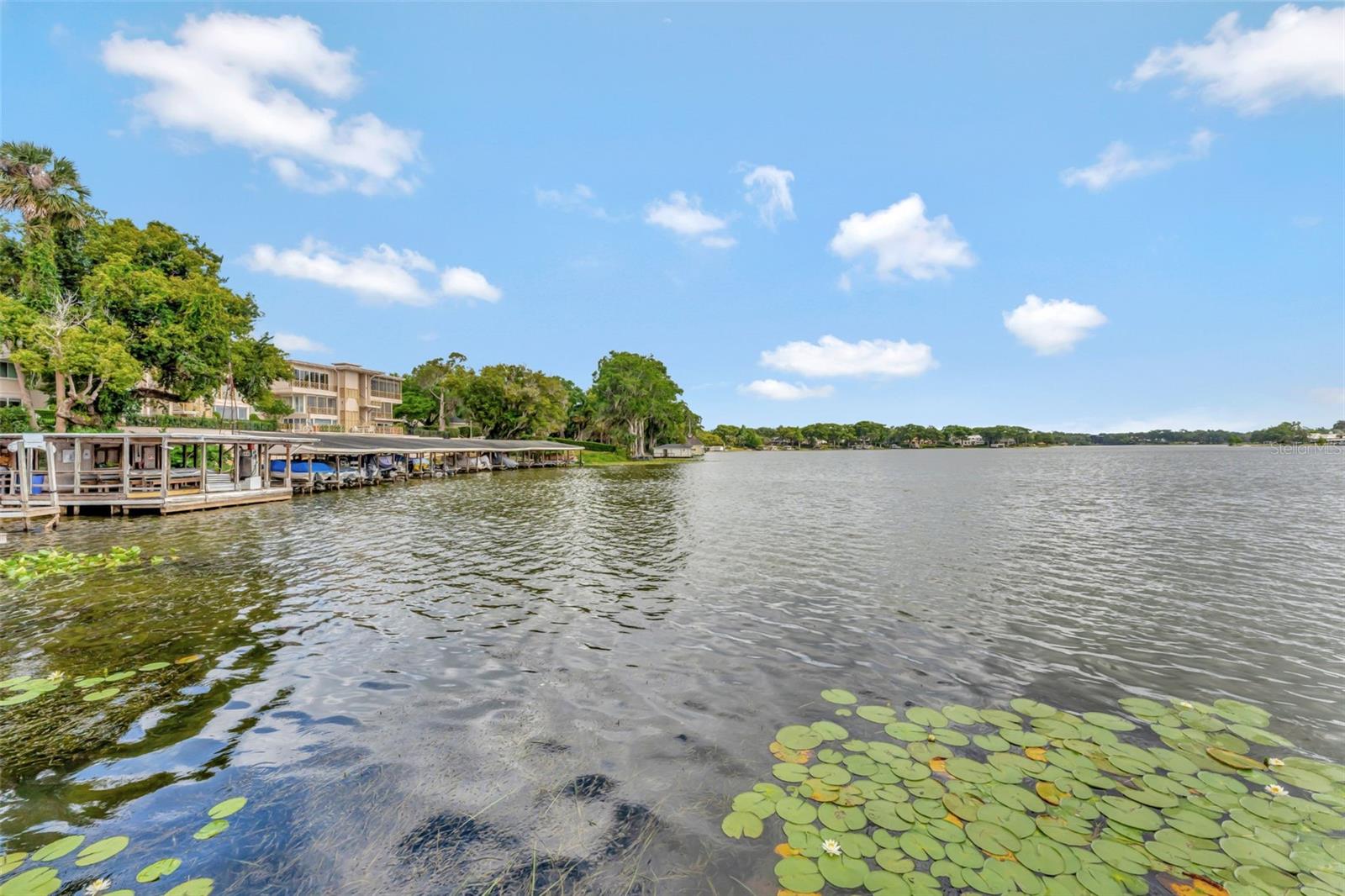 Image 38 of 38 For 100 Interlachen Avenue 410f