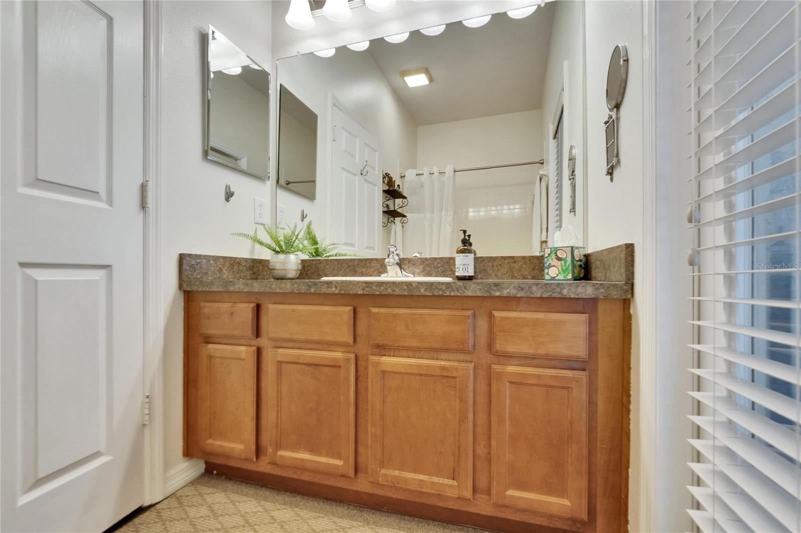 Image 31 of 74 For 12802 Cattail Shore Lane