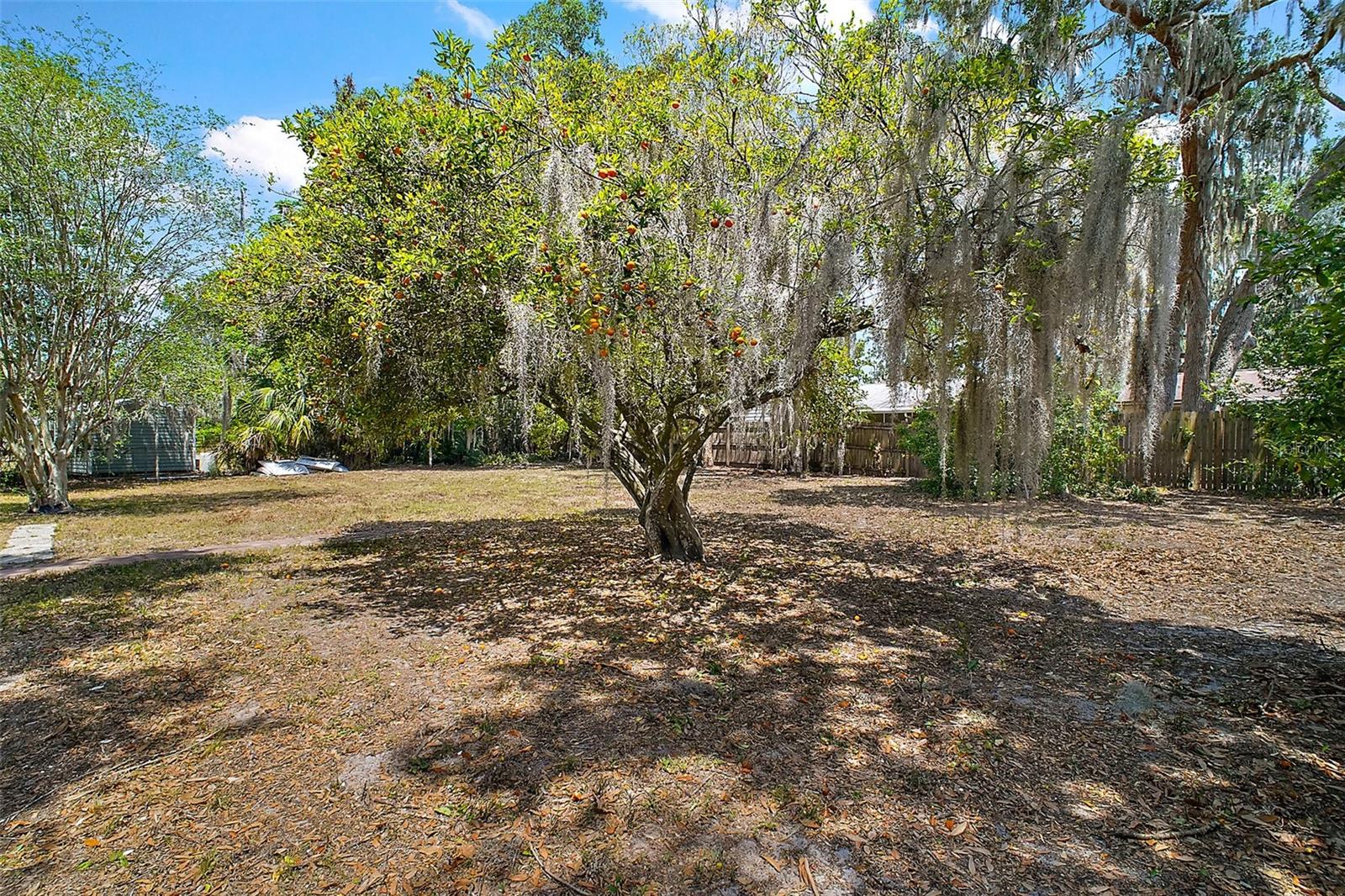 Image 31 of 34 For 819 Edgewater Drive