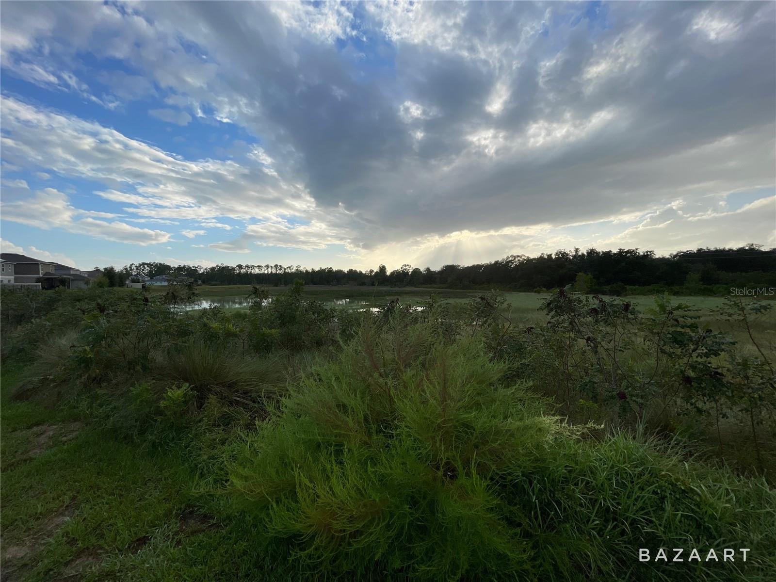 Image 4 of 4 For 864 Scrub Oak Hammock Road