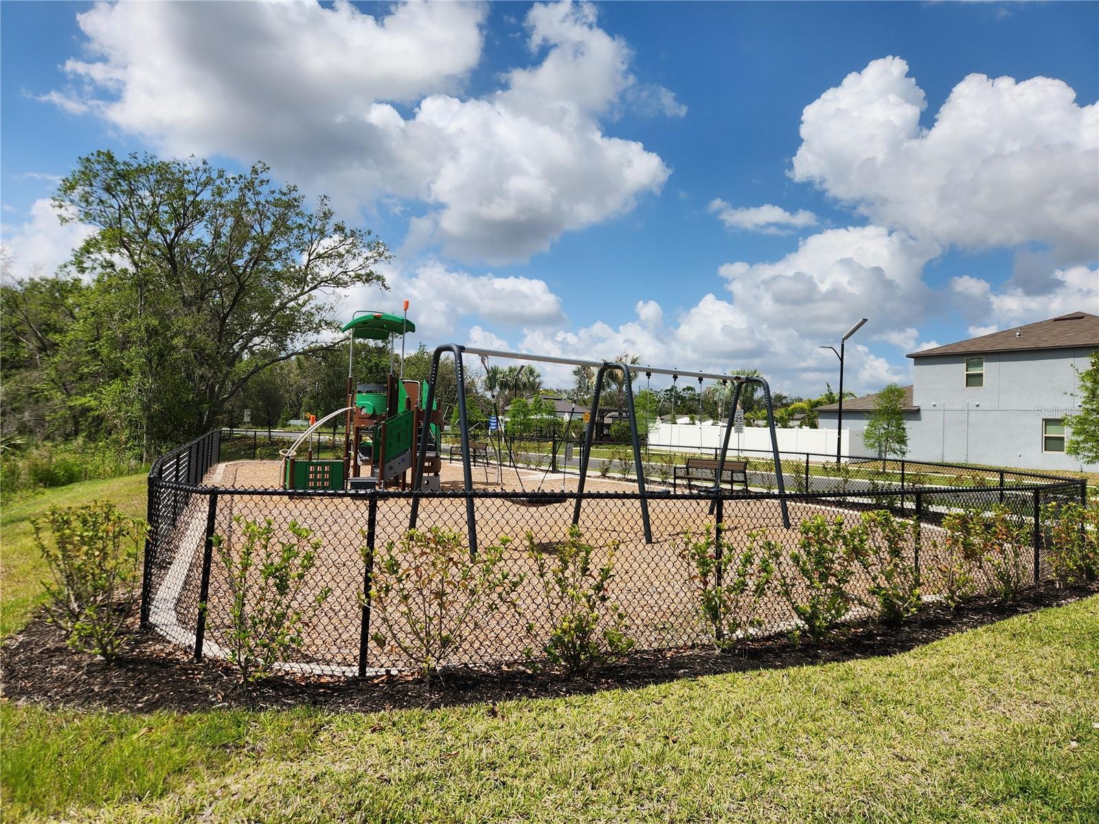 Image 35 of 35 For 10357 Scarlet Skimmer Drive