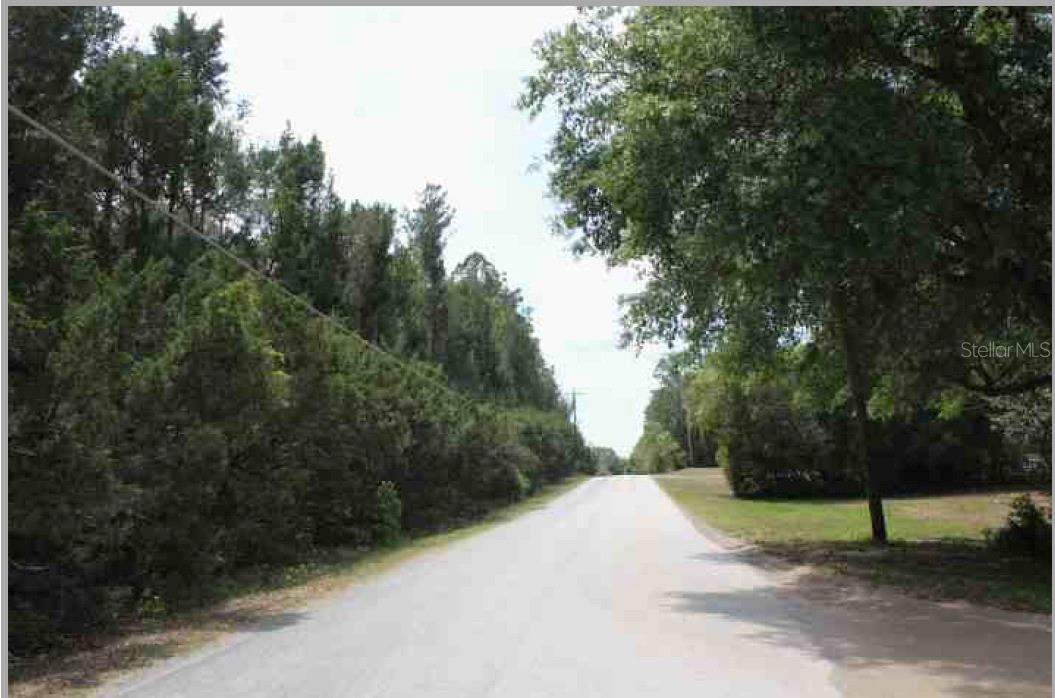Image 2 of 3 For Bill Collins Road