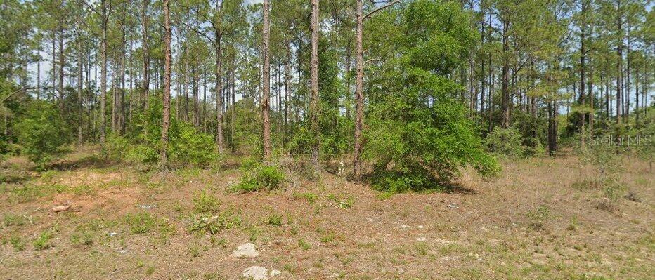 Details for 10940 Letterwood Way, DUNNELLON, FL 34434