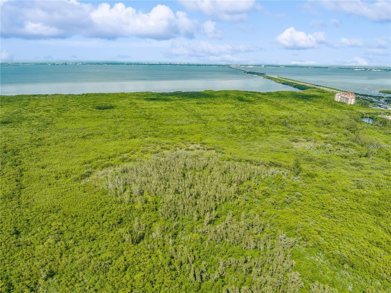 Image 9 of 10 For 0 Mangrove Cay Lane Ne
