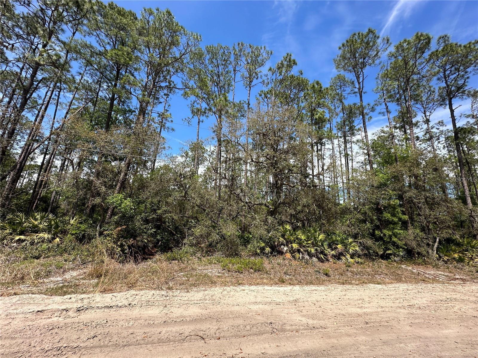 Details for  Hudson  , INTERLACHEN, FL 32148