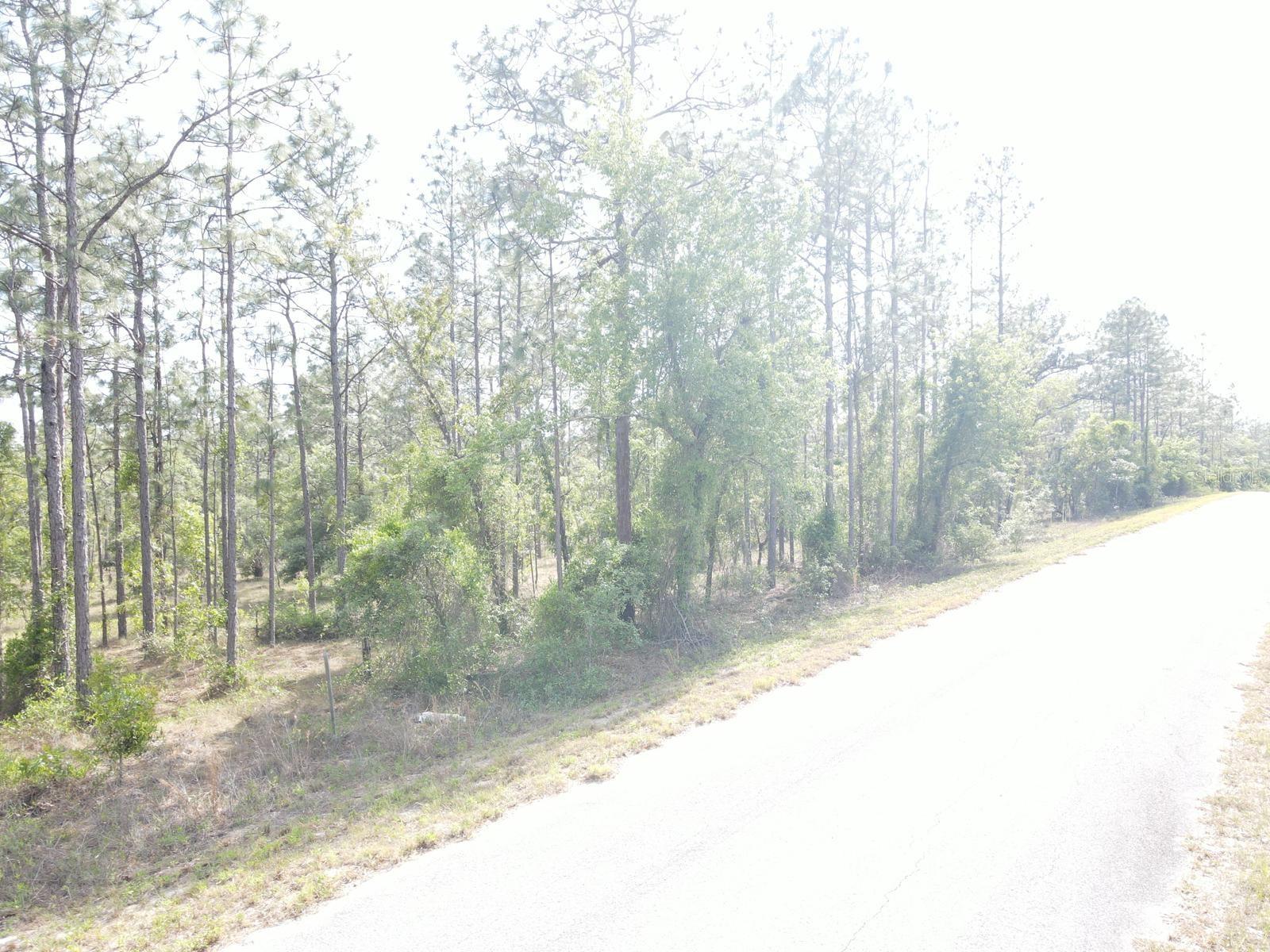 Details for Lot 20 Shamrock Avenue, DUNNELLON, FL 34431