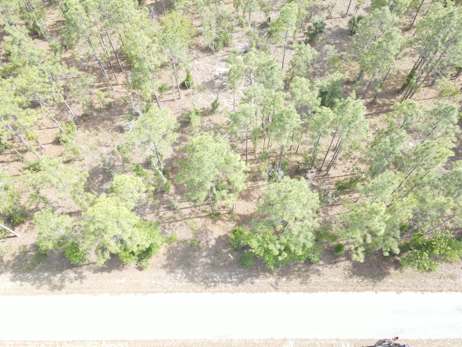 Image 2 of 6 For Lot 20 Shamrock Avenue