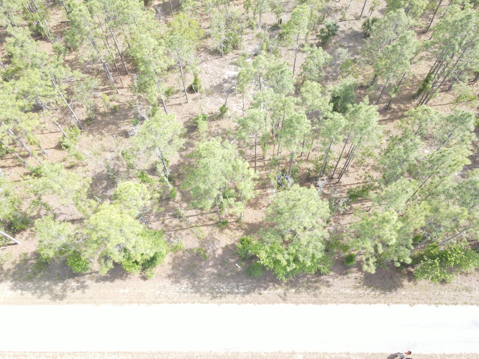 Image 5 of 6 For Lot 20 Shamrock Avenue