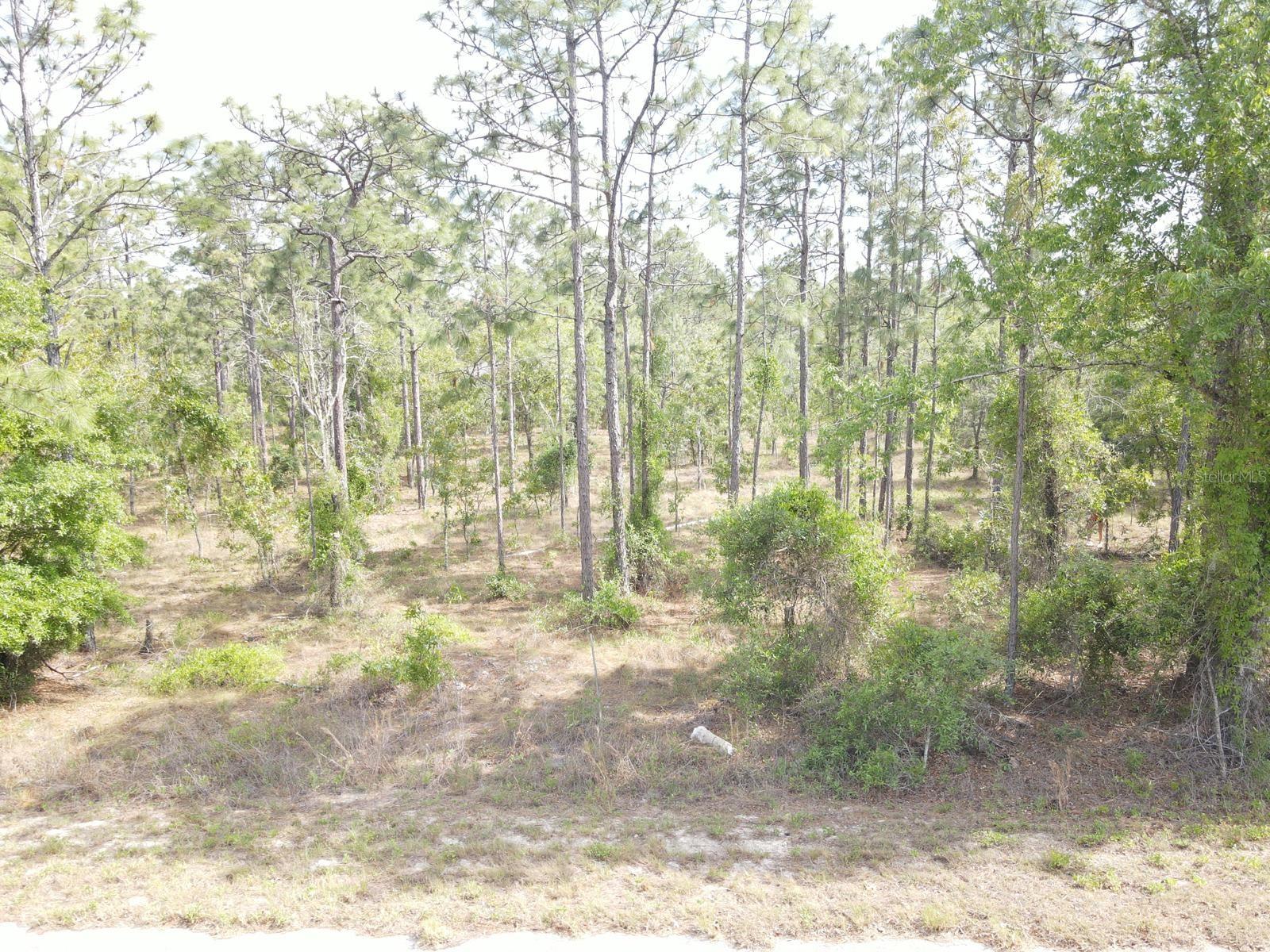 Image 6 of 6 For Lot 20 Shamrock Avenue