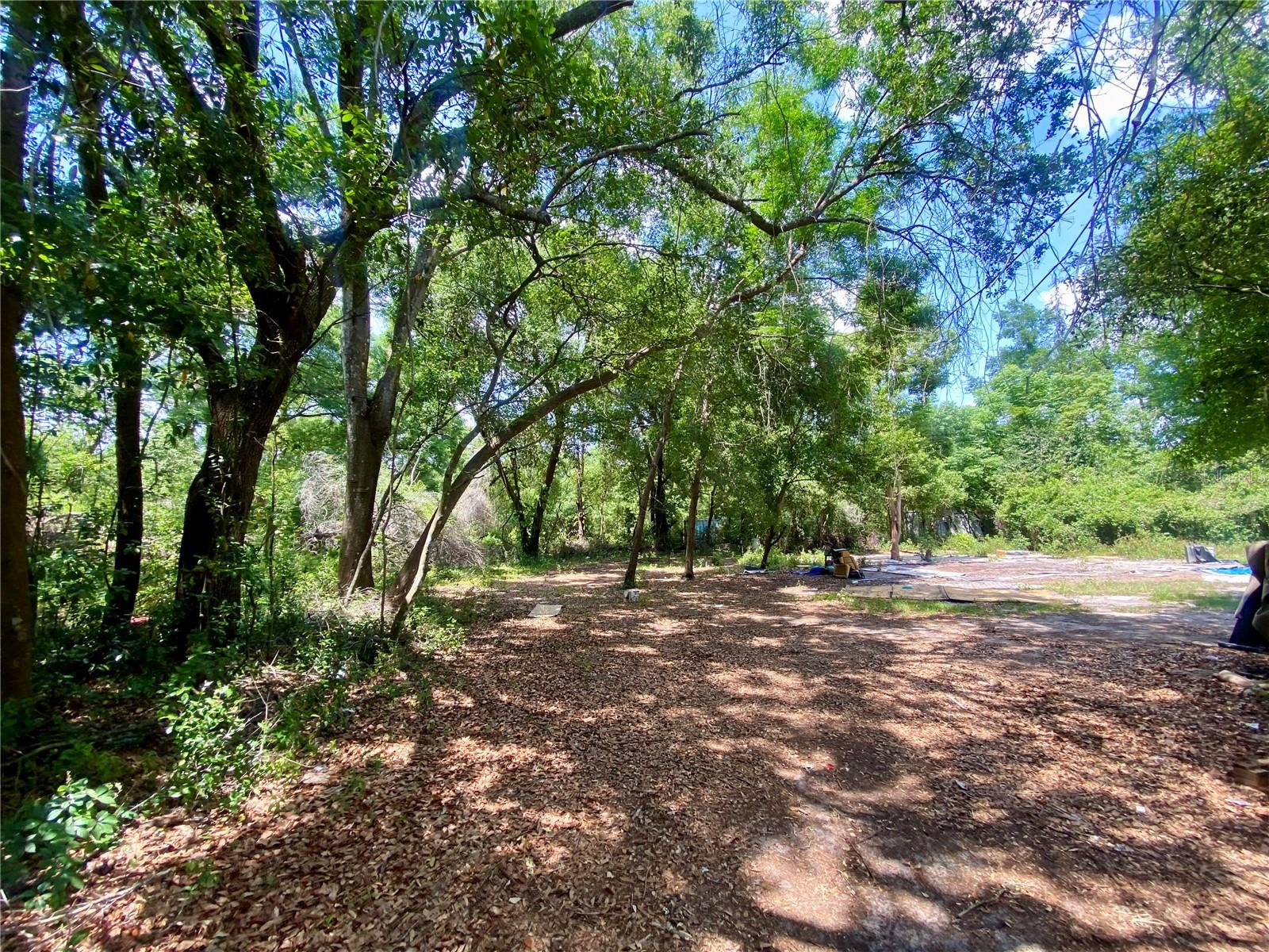 Details for 910 Lake Pleasant Road, APOPKA, FL 32703