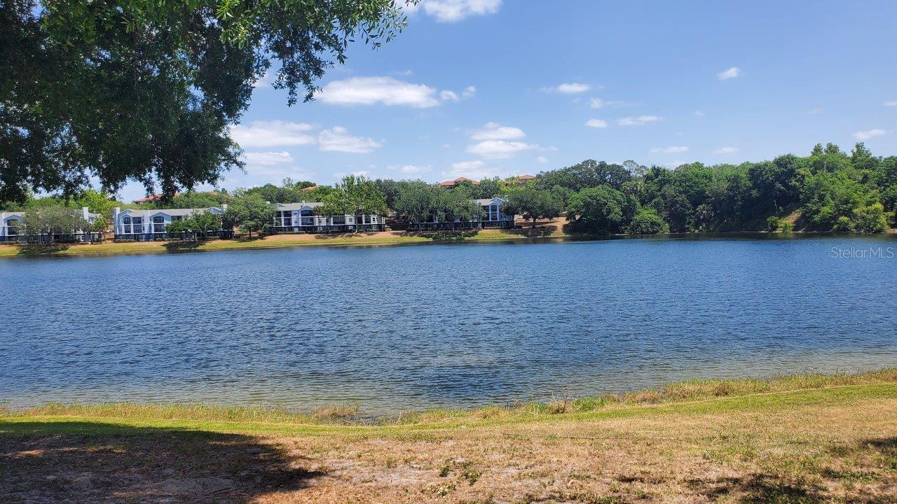Image 7 of 35 For 1071 S Hiawassee Rd  1211