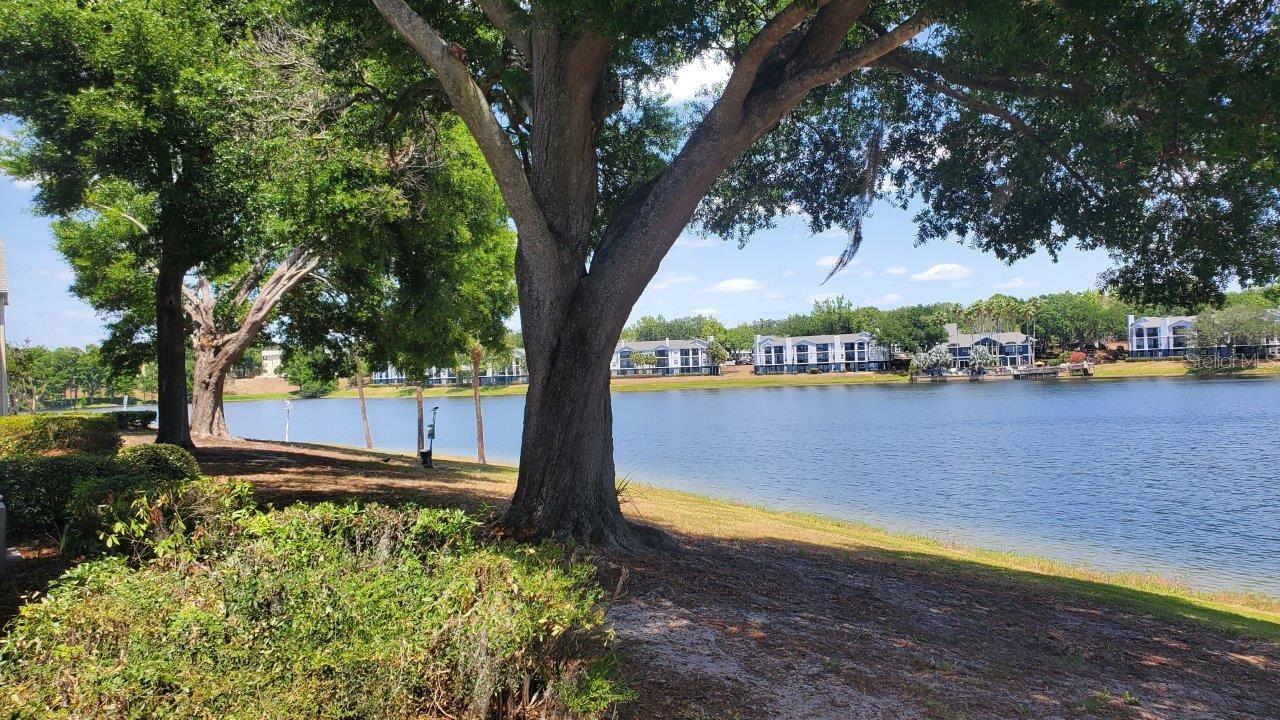 Image 8 of 35 For 1071 S Hiawassee Rd  1211