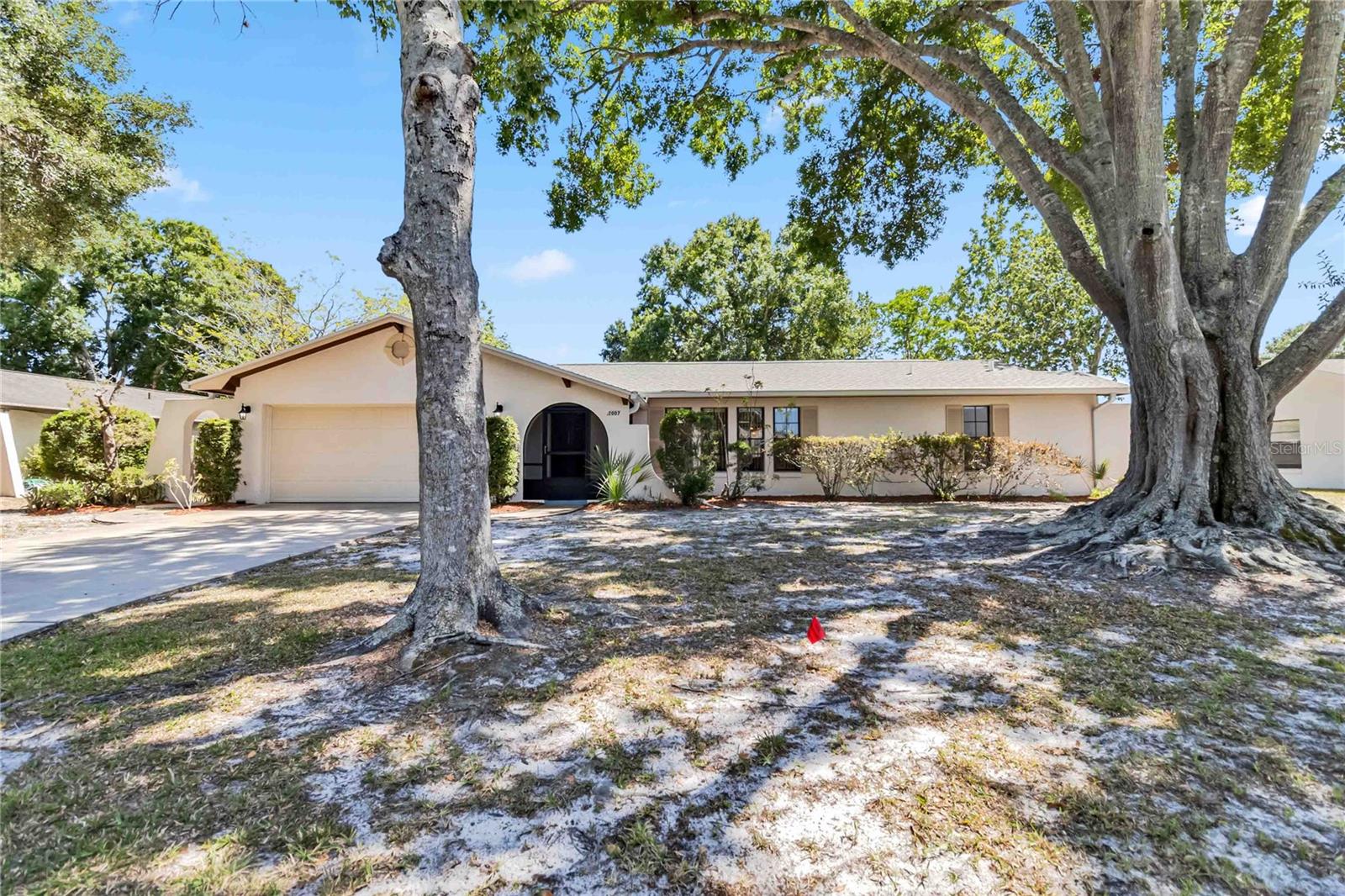 Details for 2007 Peach Tree Boulevard, ST CLOUD, FL 34769