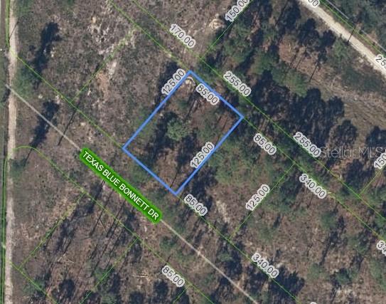 Image 2 of 7 For 6139 Texas Blue Bonnett Drive