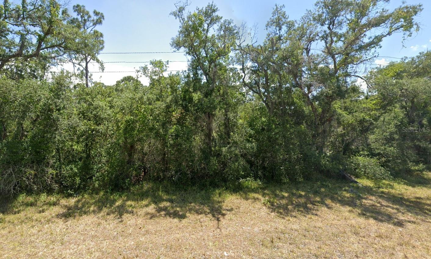 Image 7 of 7 For 6139 Texas Blue Bonnett Drive