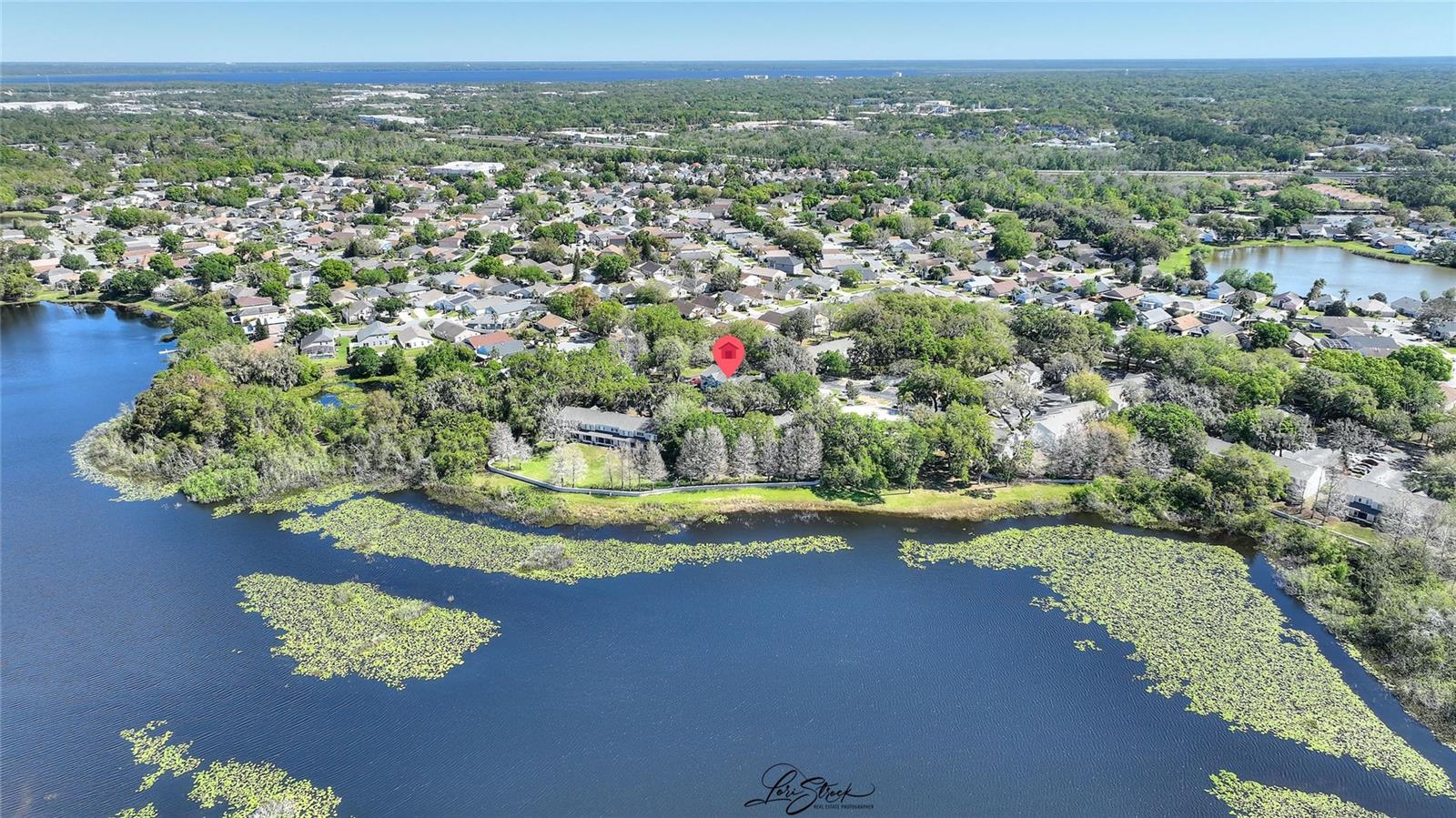 Image 8 of 31 For 1178 Vineland Pl  1178