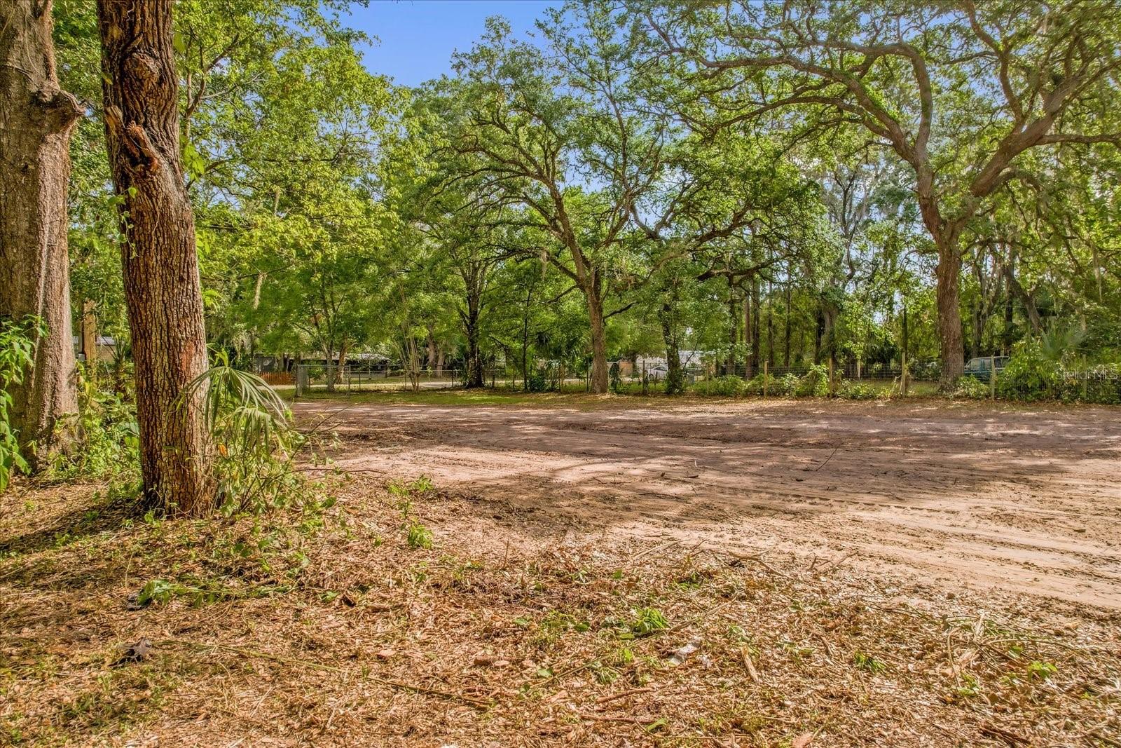 Image 6 of 13 For 25046 Celestial Street