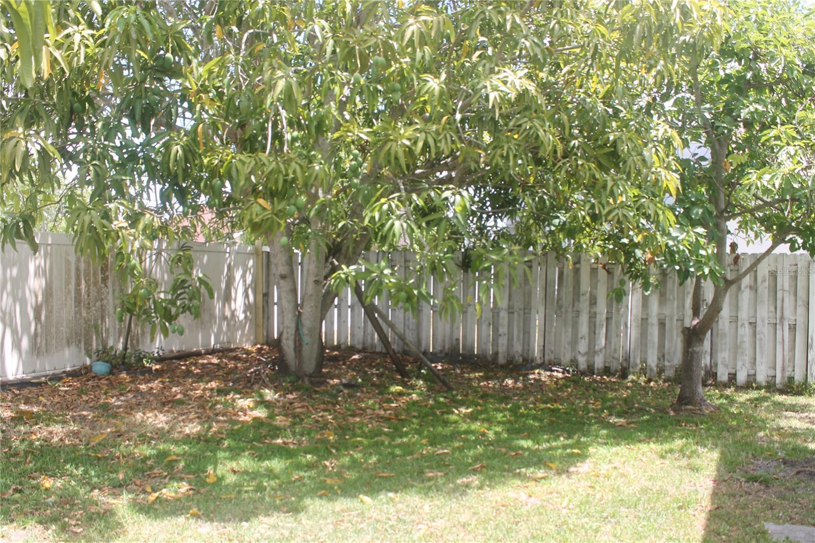 Image 22 of 23 For 462 Kassik Circle