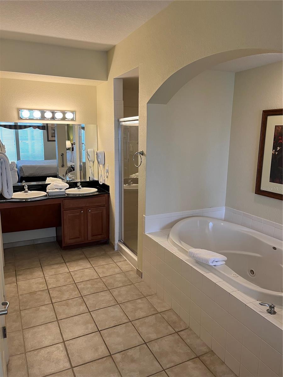 Image 15 of 41 For 8101 Resort Village Drive 3909