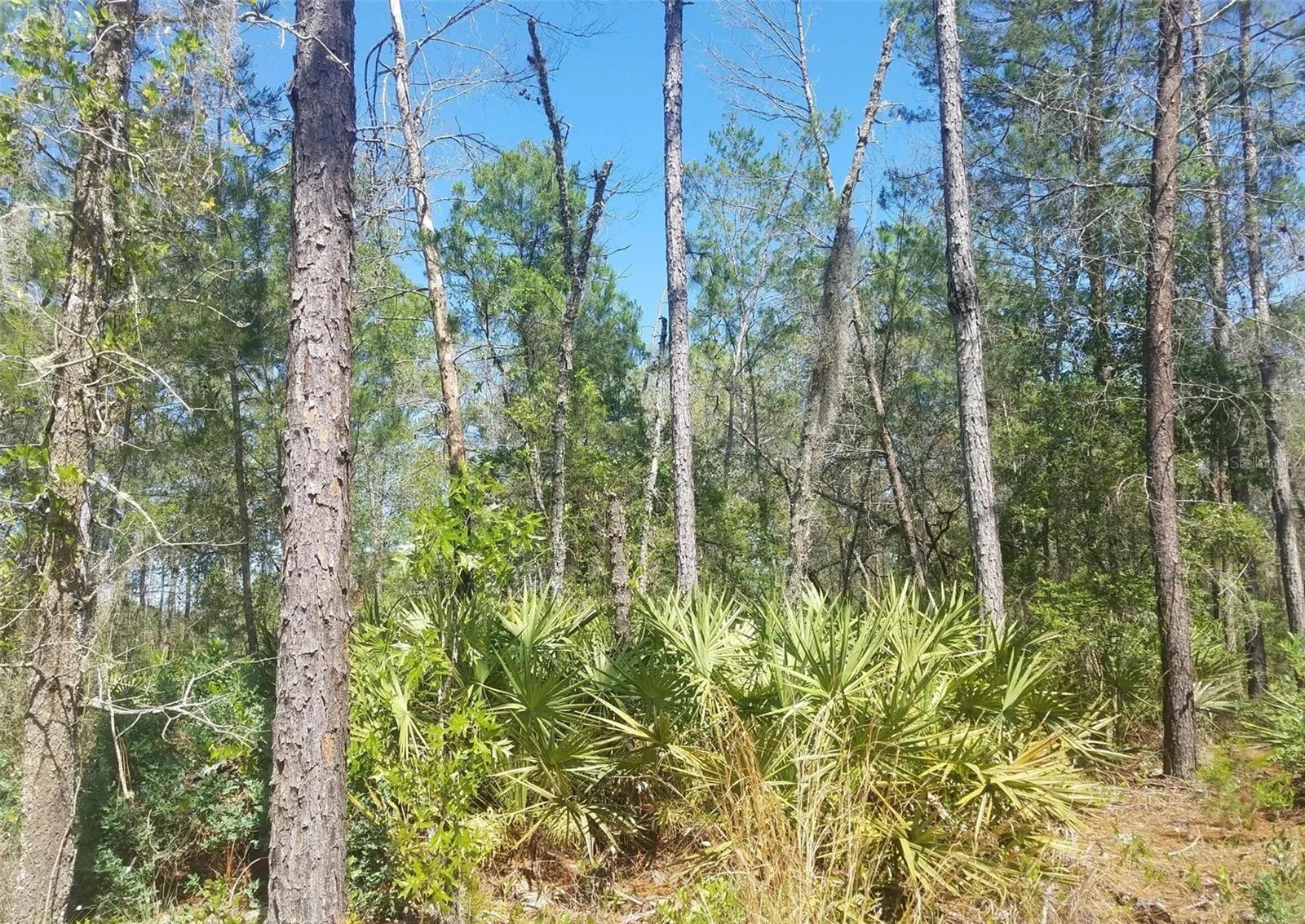 Details for Interlachen Lakes Estates Unit, INTERLACHEN, FL 32148