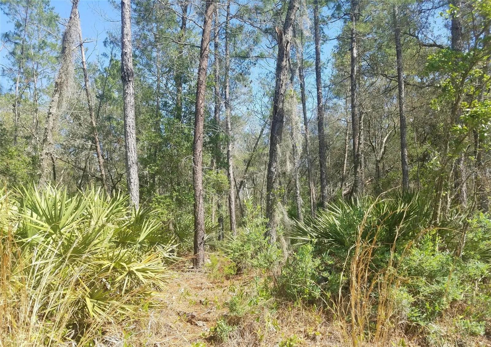 Image 2 of 3 For Interlachen Lakes Estates Unit