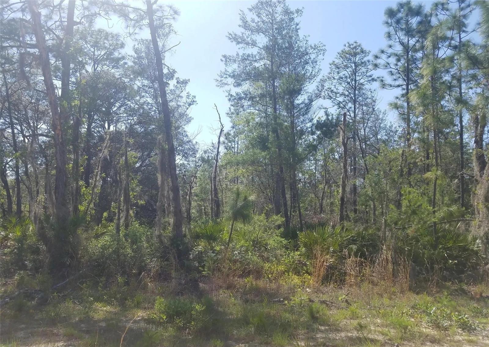 Image 3 of 3 For Interlachen Lakes Estates Unit