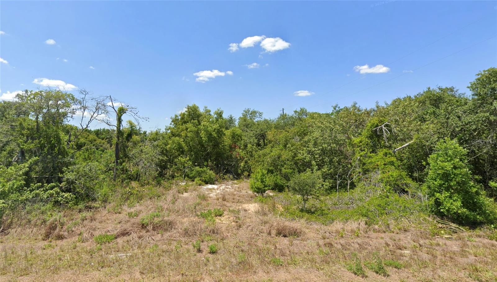 Details for 228 Hallmark Avenue, LAKE PLACID, FL 33852