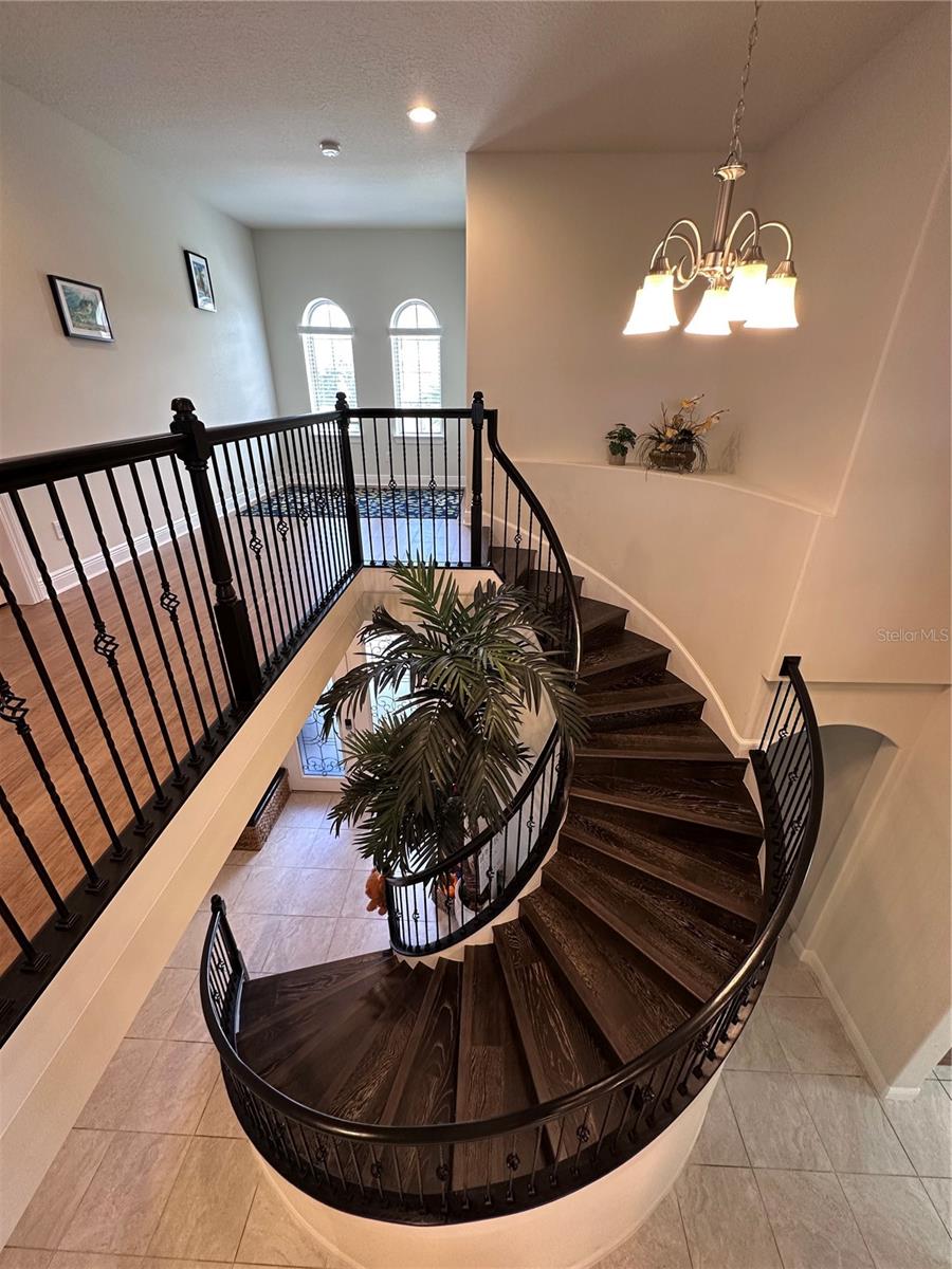 Image 31 of 41 For 8405 Adalina Pl