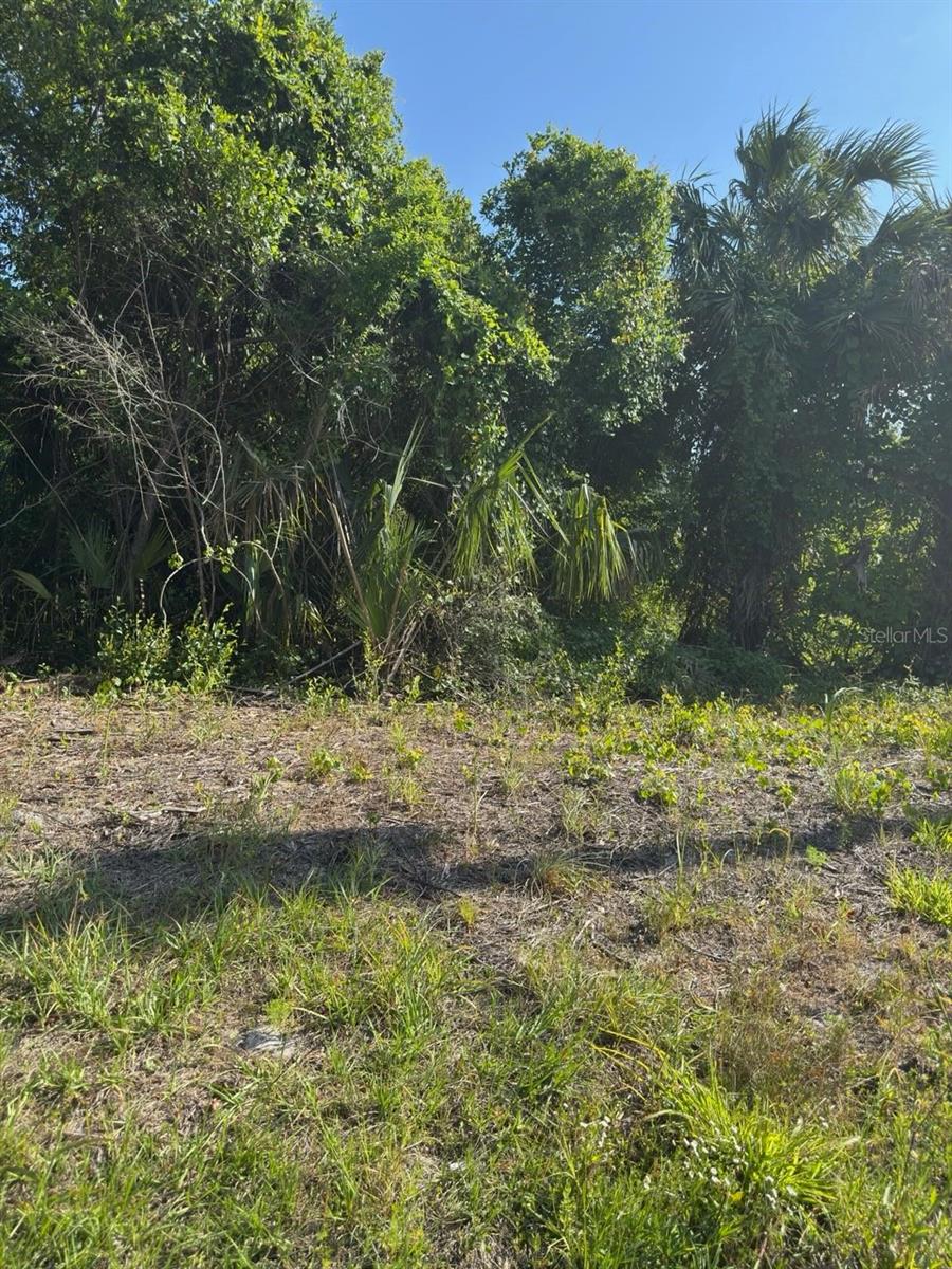 Listing Details for 431 Birch Boulevard, GEORGETOWN, FL 32139
