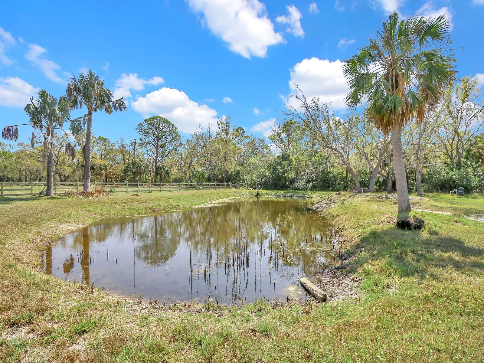 Image 18 of 46 For 8123 Double Branch Road