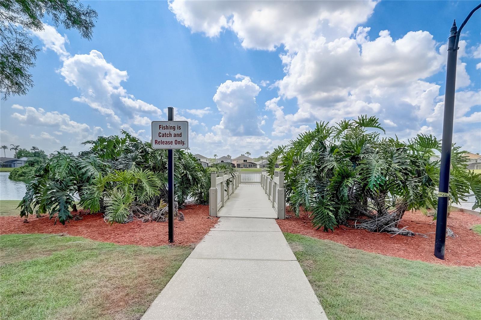 Image 37 of 43 For 1041 Park Ridge Circle