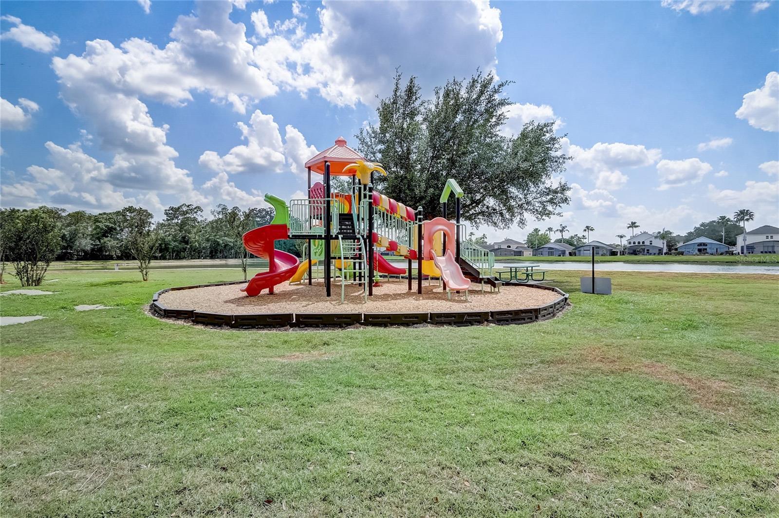 Image 41 of 43 For 1041 Park Ridge Circle