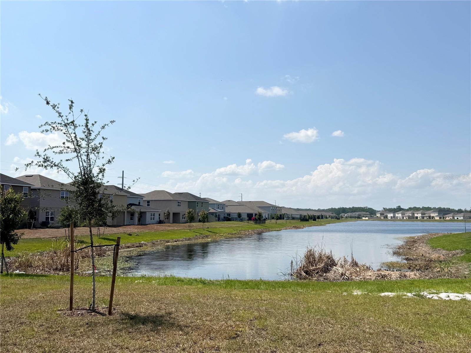 Image 42 of 52 For 4185 Sagefield Drive