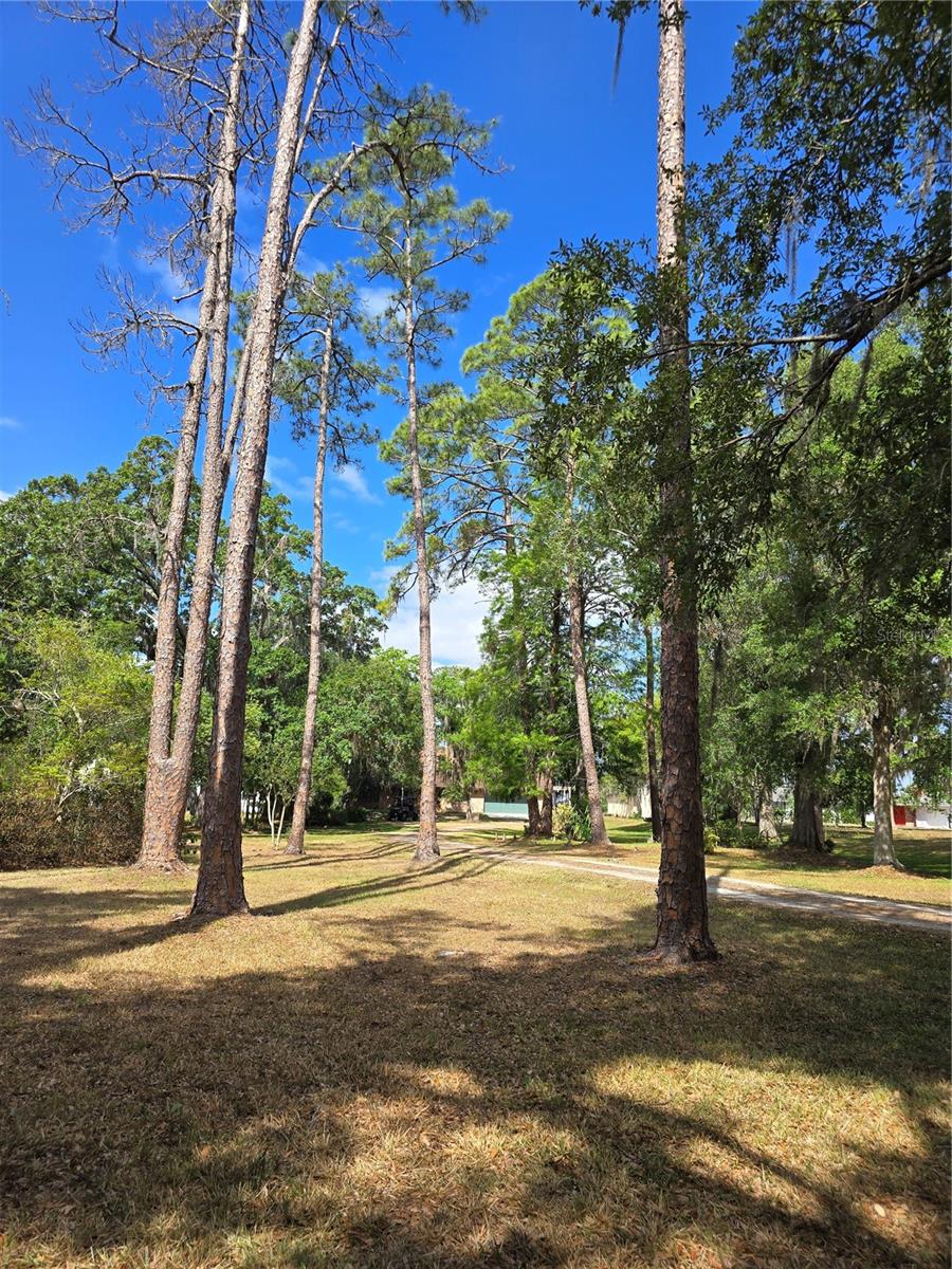 Image 40 of 45 For 12454 Lake Mary Jane Road