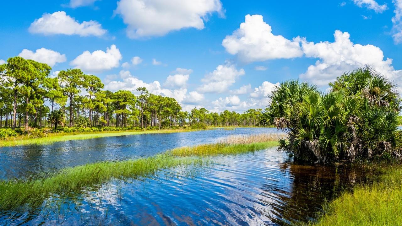 Image 14 of 15 For 25416 Jubal Street