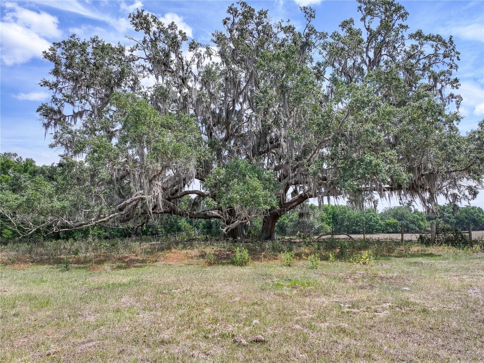 Image 39 of 39 For 6882 57th Road