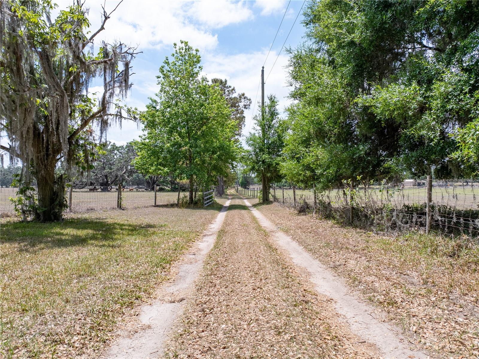 Image 4 of 39 For 6882 57th Road