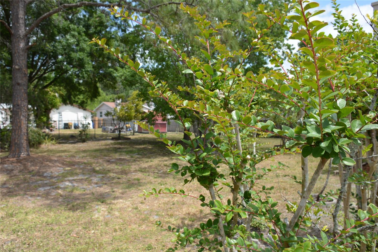 Image 40 of 46 For 622 Alton Road