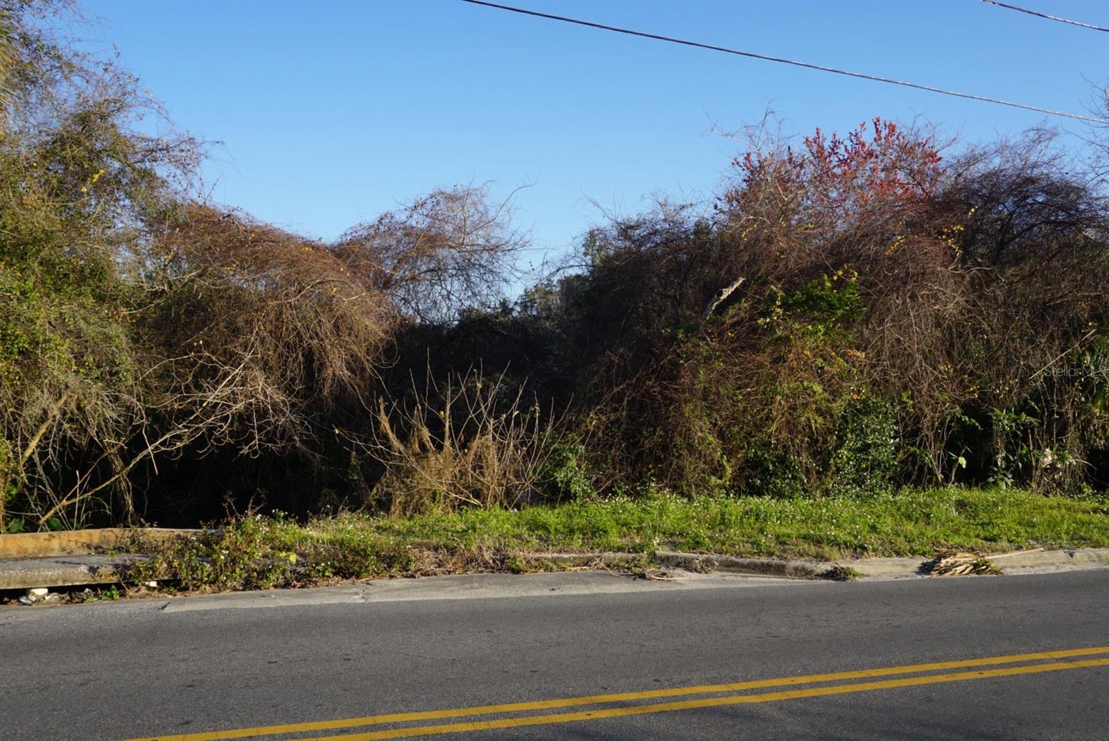 Image 2 of 4 For Palmetto Street