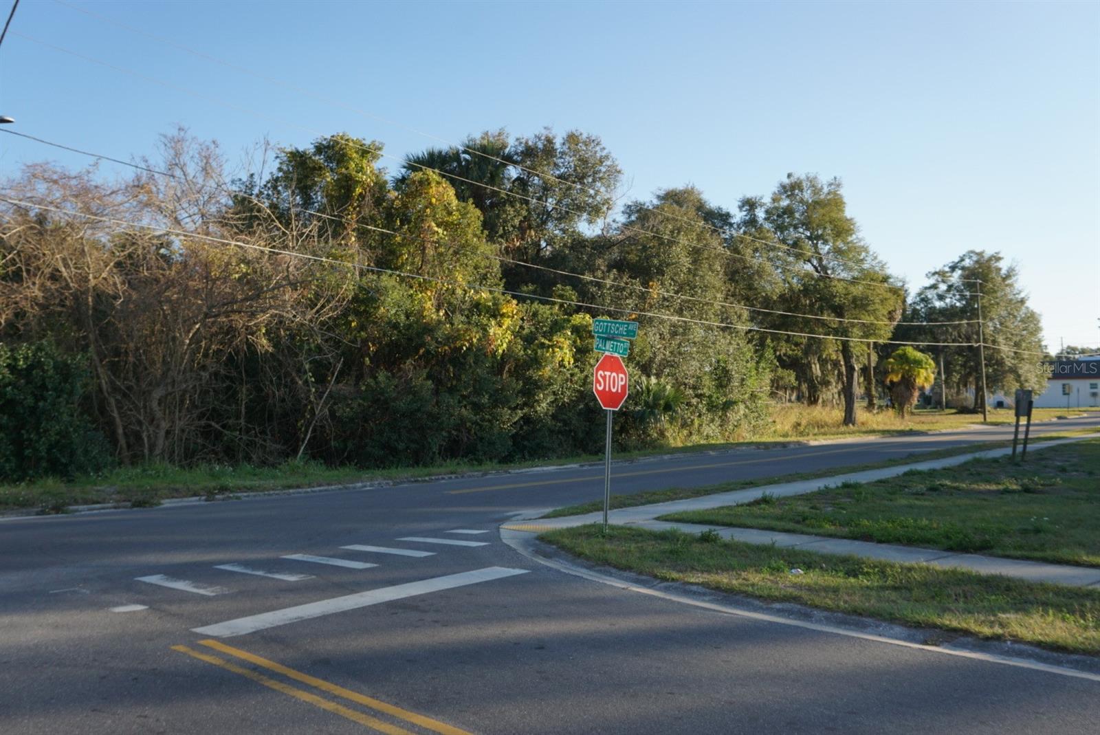 Image 3 of 4 For Palmetto Street