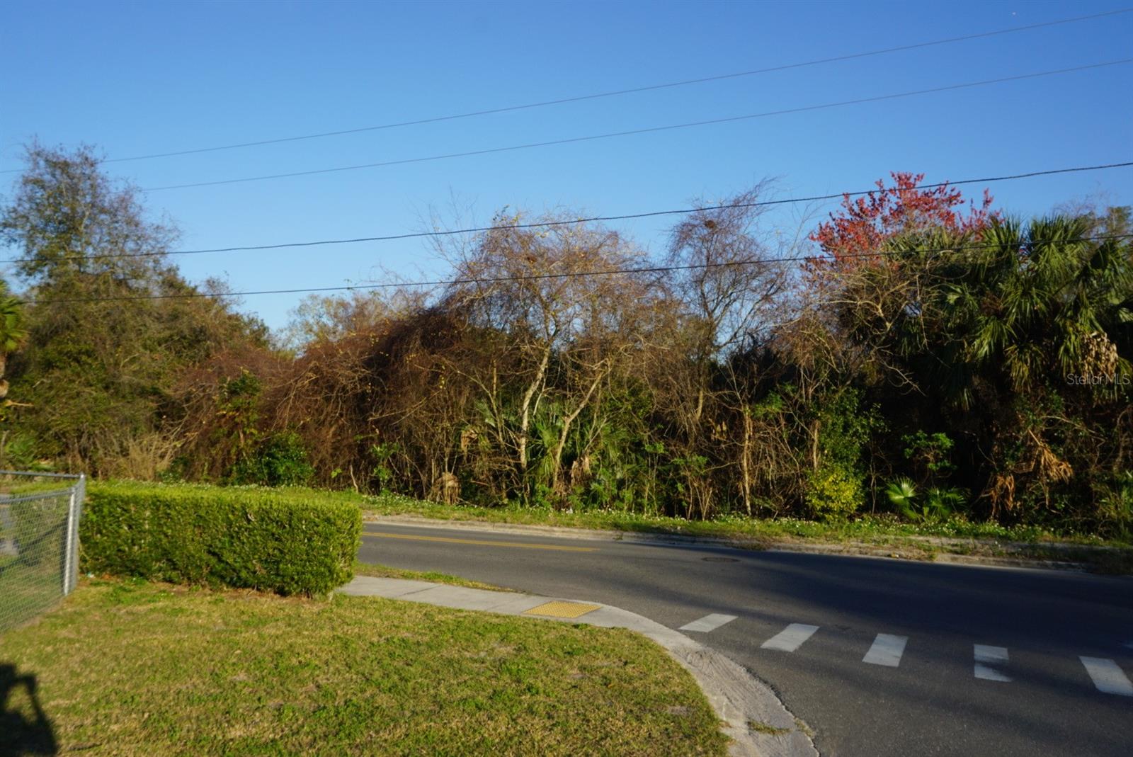 Image 4 of 4 For Palmetto Street