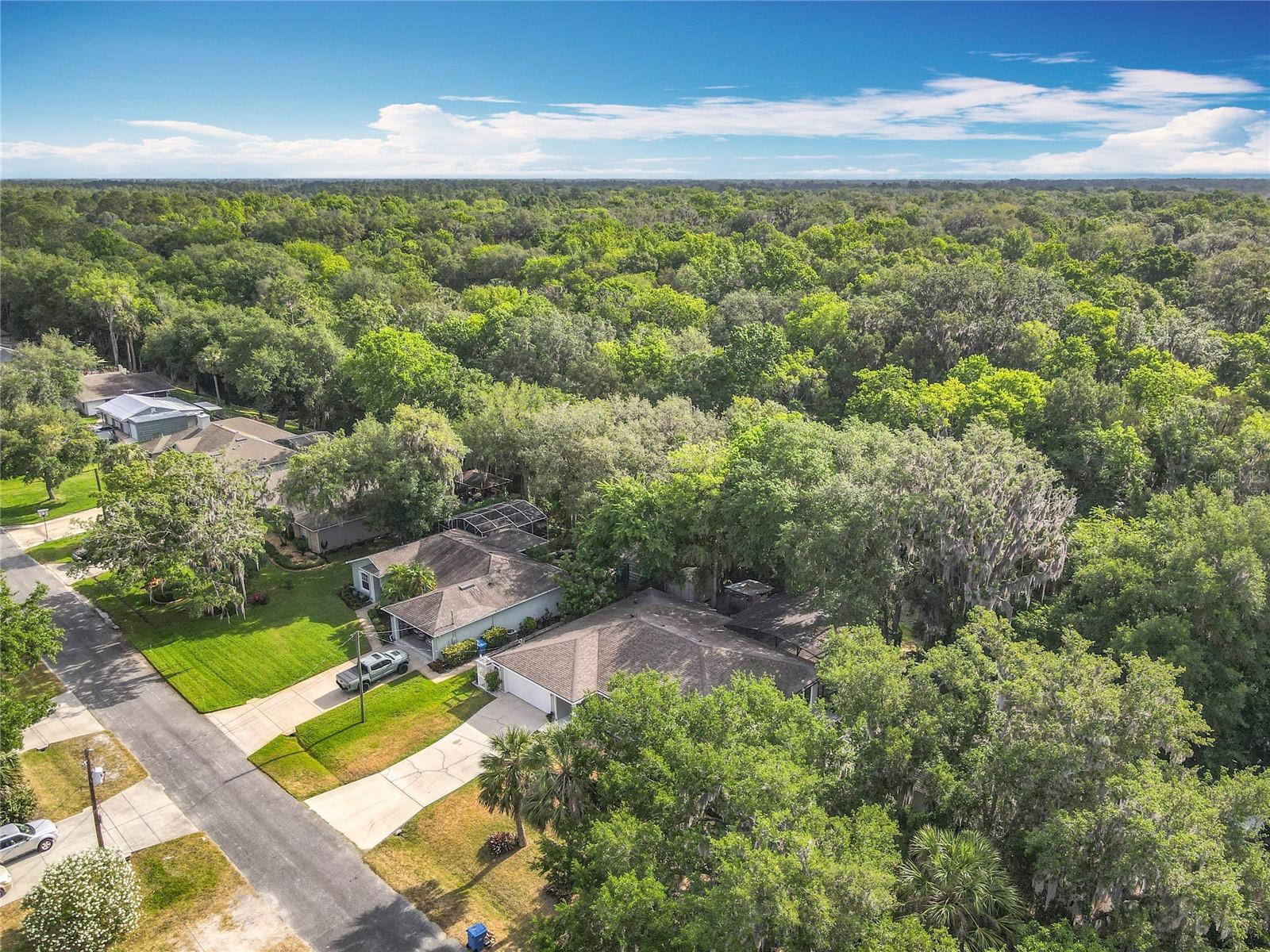 Image 5 of 67 For 185 Poinciana Lane