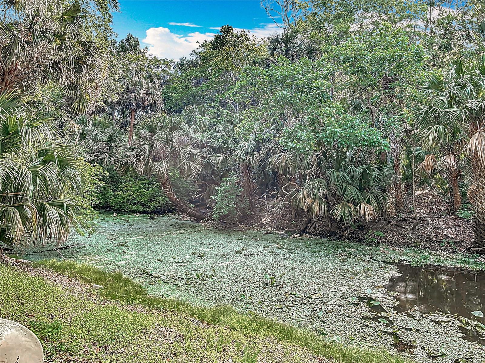 Image 58 of 67 For 185 Poinciana Lane