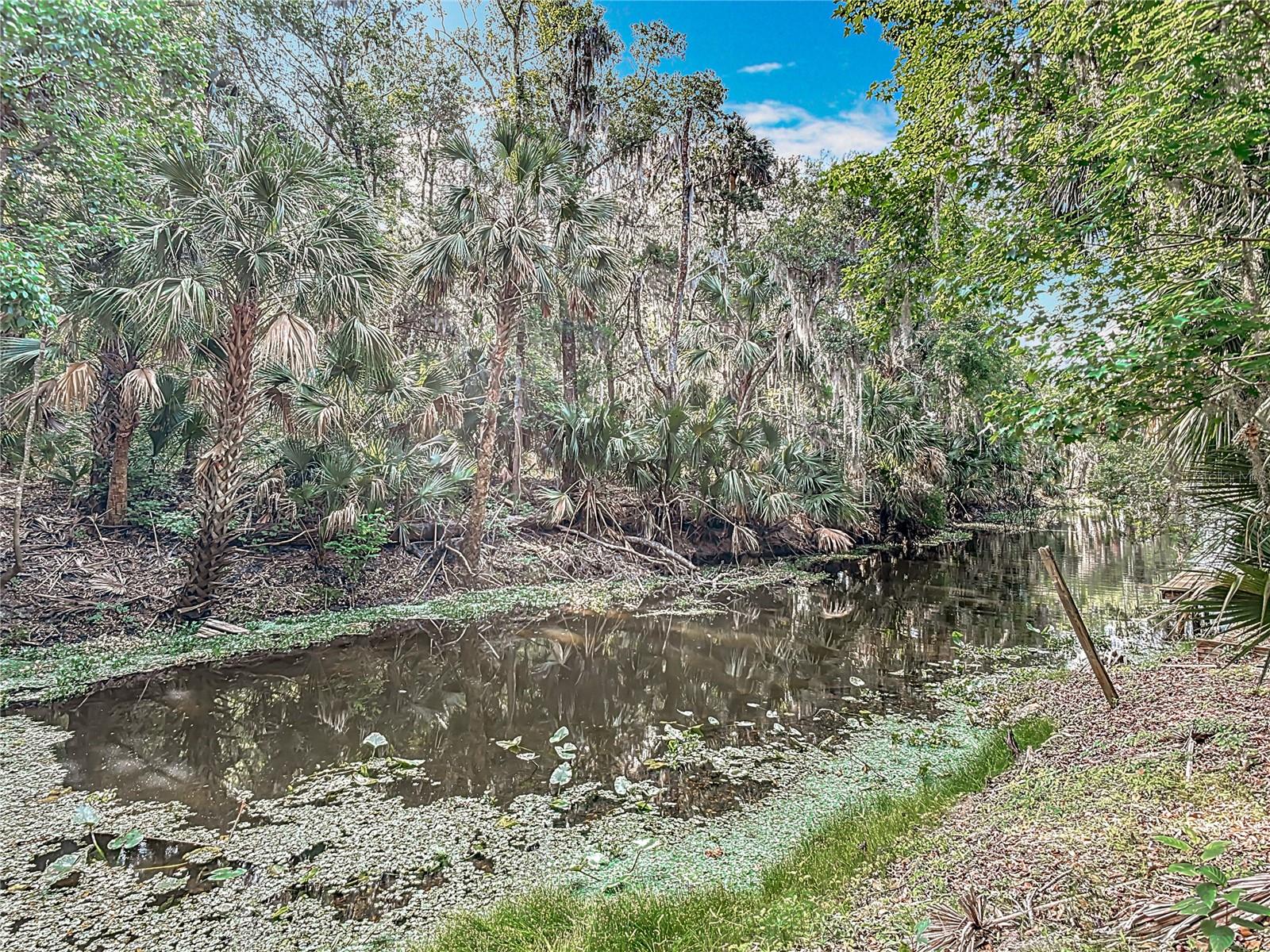 Image 59 of 67 For 185 Poinciana Lane