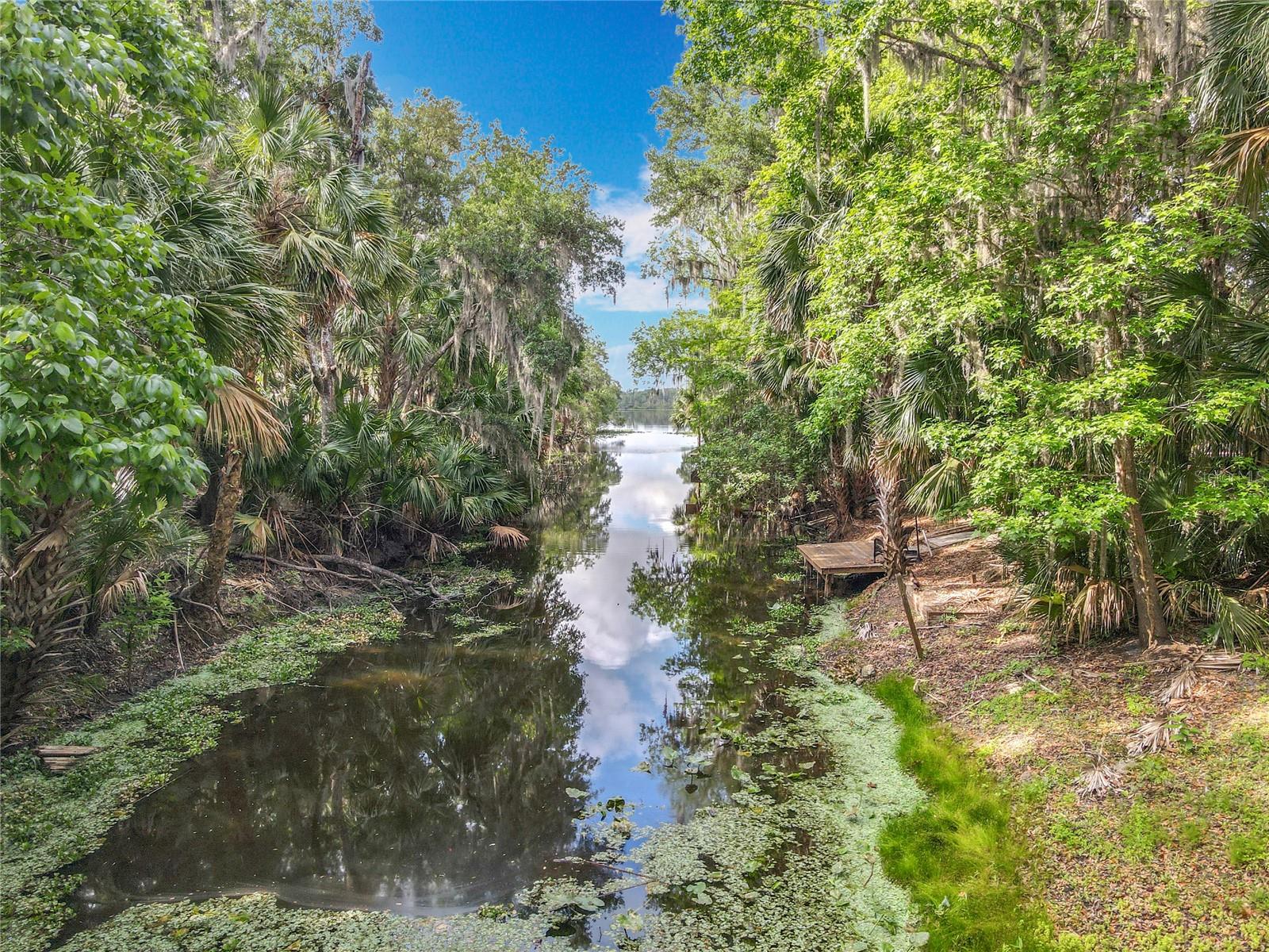 Image 62 of 67 For 185 Poinciana Lane