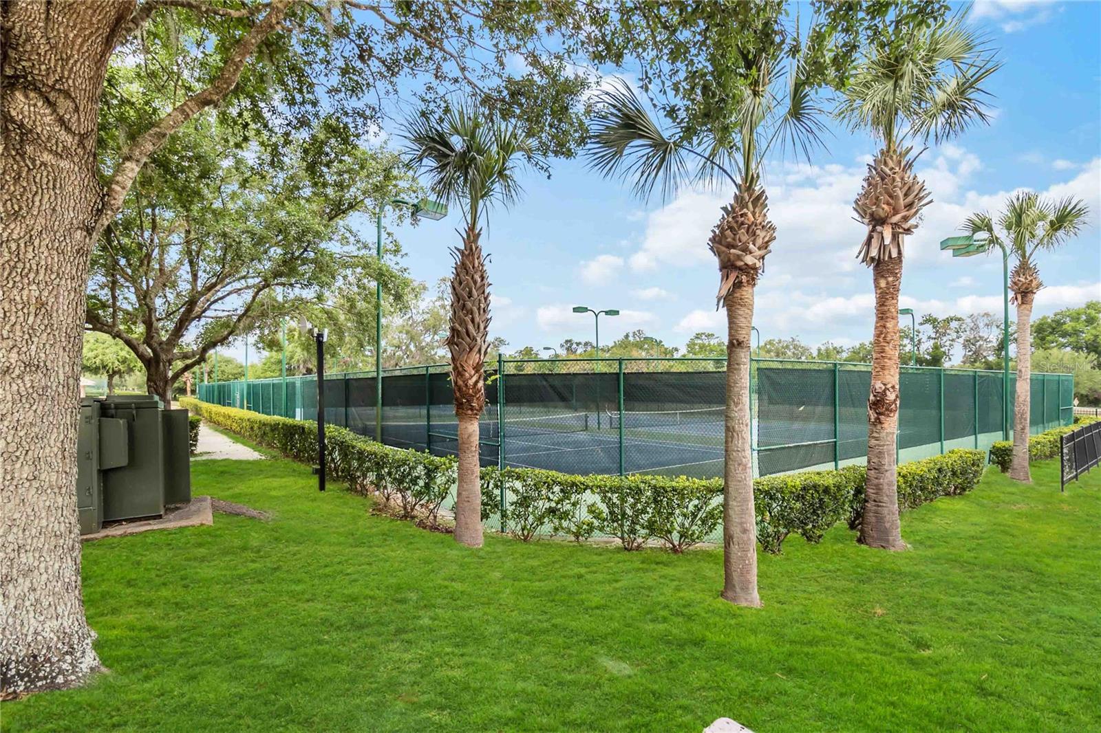 Image 40 of 53 For 5347 Travertine Street