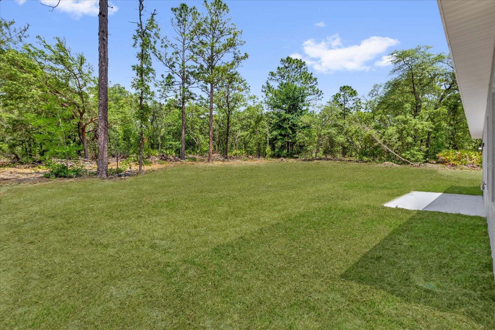 Listing photo id 27 for 6581 Bedstrow Boulevard